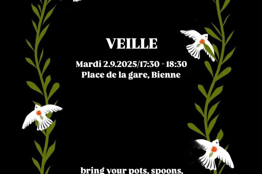 Veille : stop the genocide in gaza
